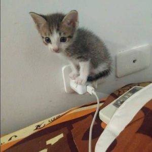 Meet your Posher, Jacob